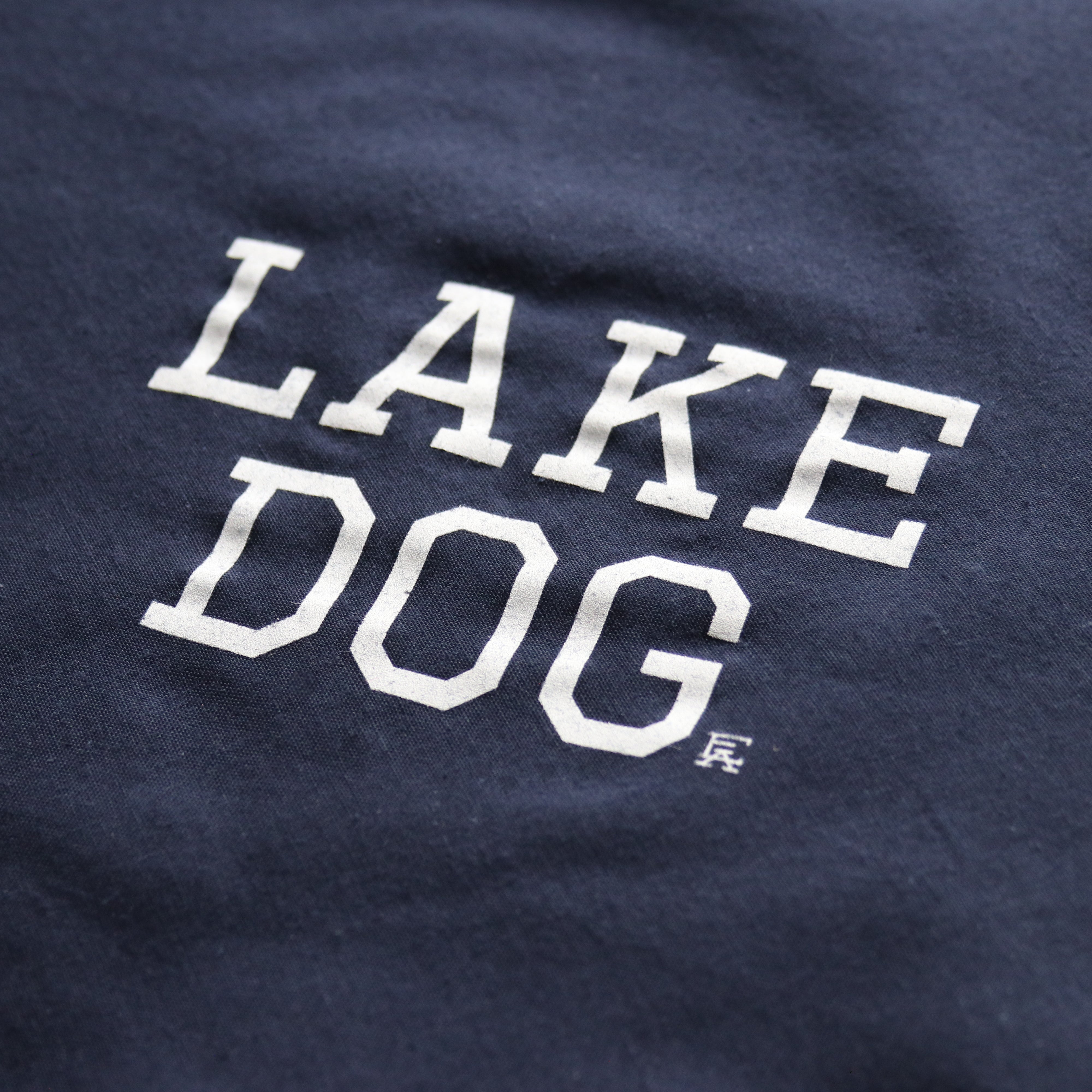 Lake Dog Bandana