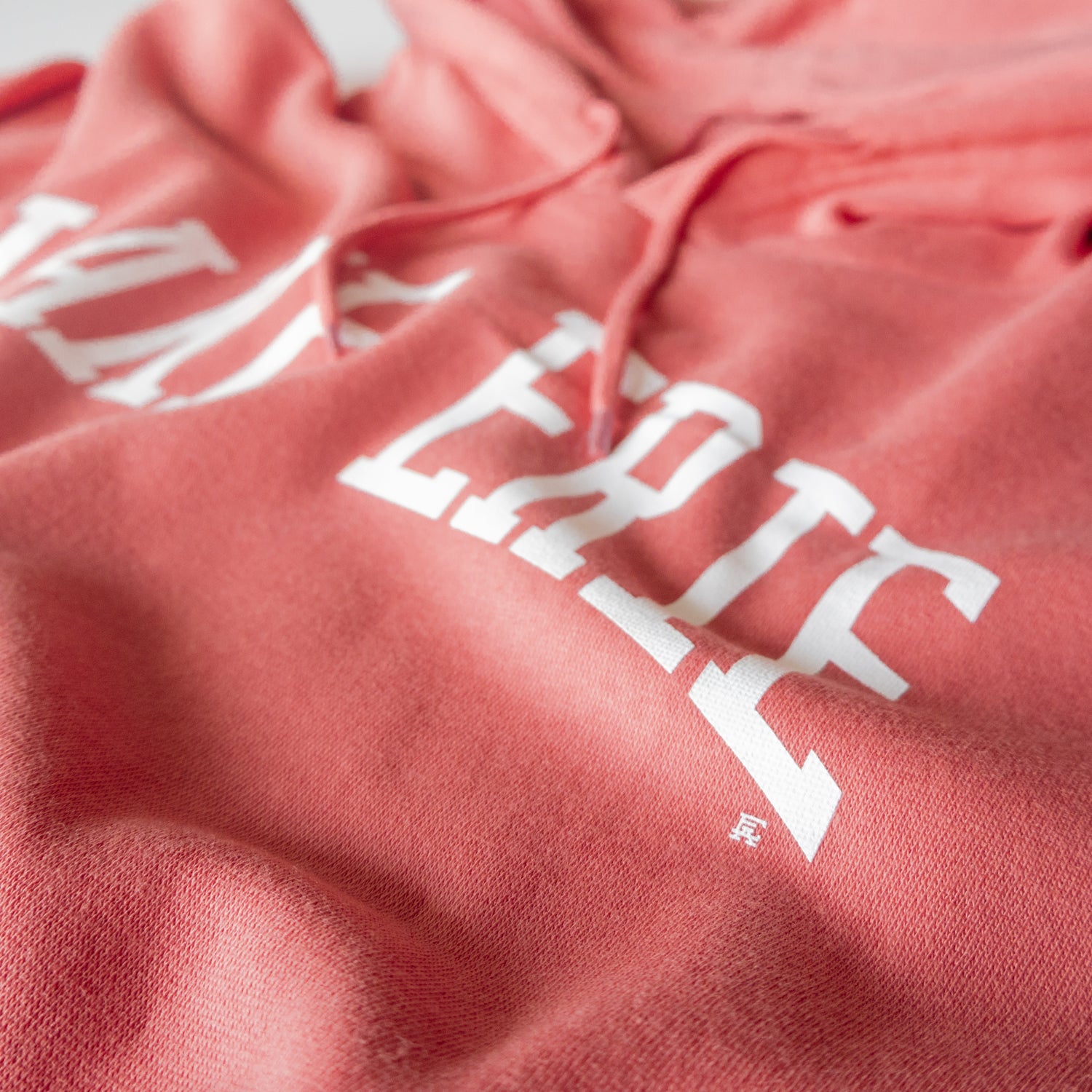 Lake Erie Block Lightweight Hoodie - Coral