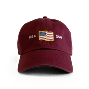 USA 250 Hat
