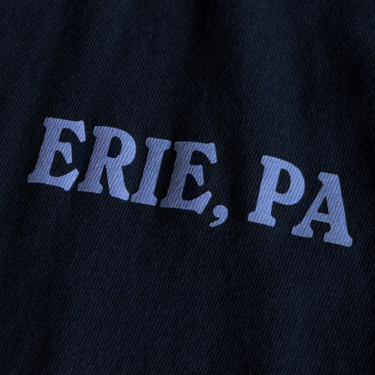 It's All in Erie Long Sleeve Tee