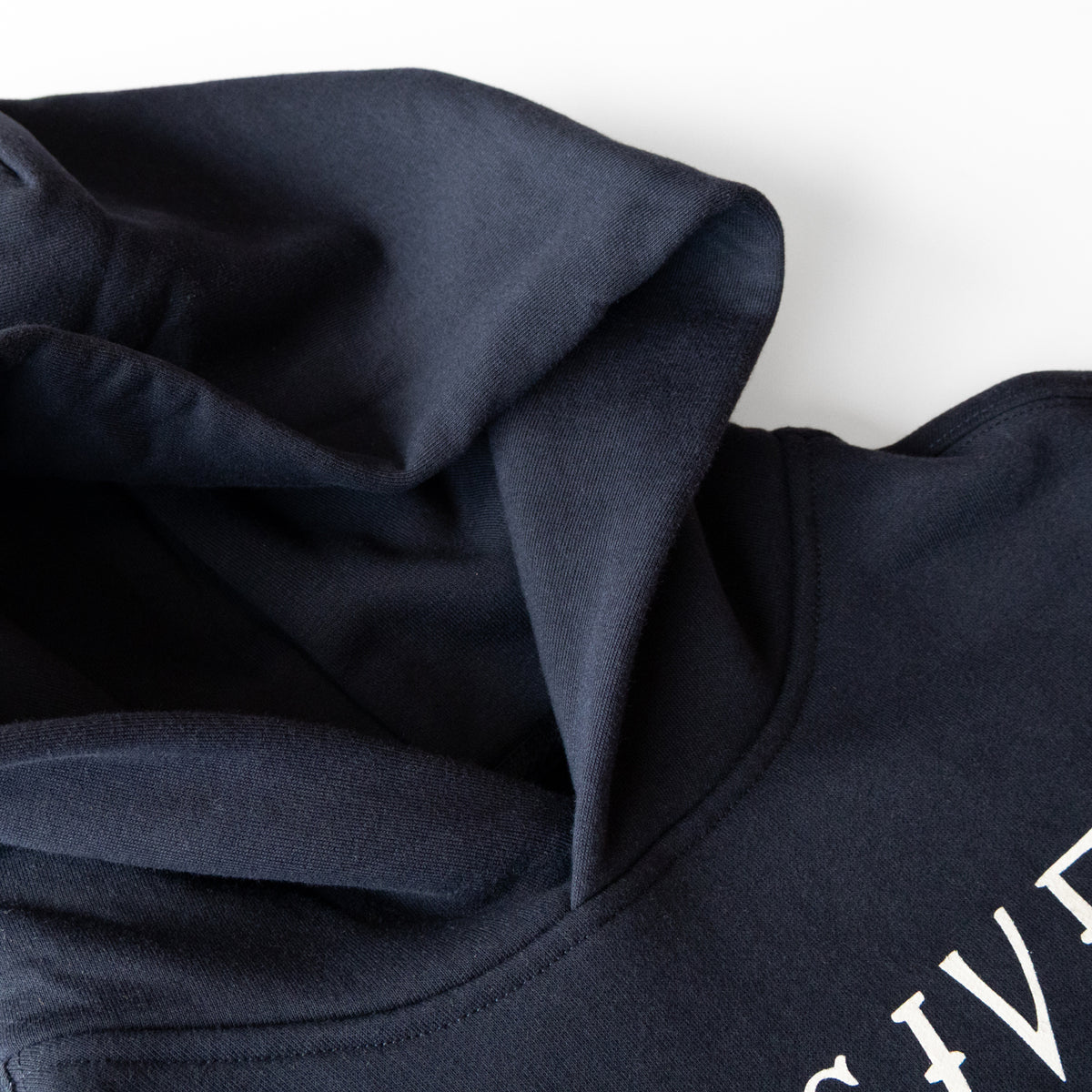 Don't Give Up the Ship Hoodie
