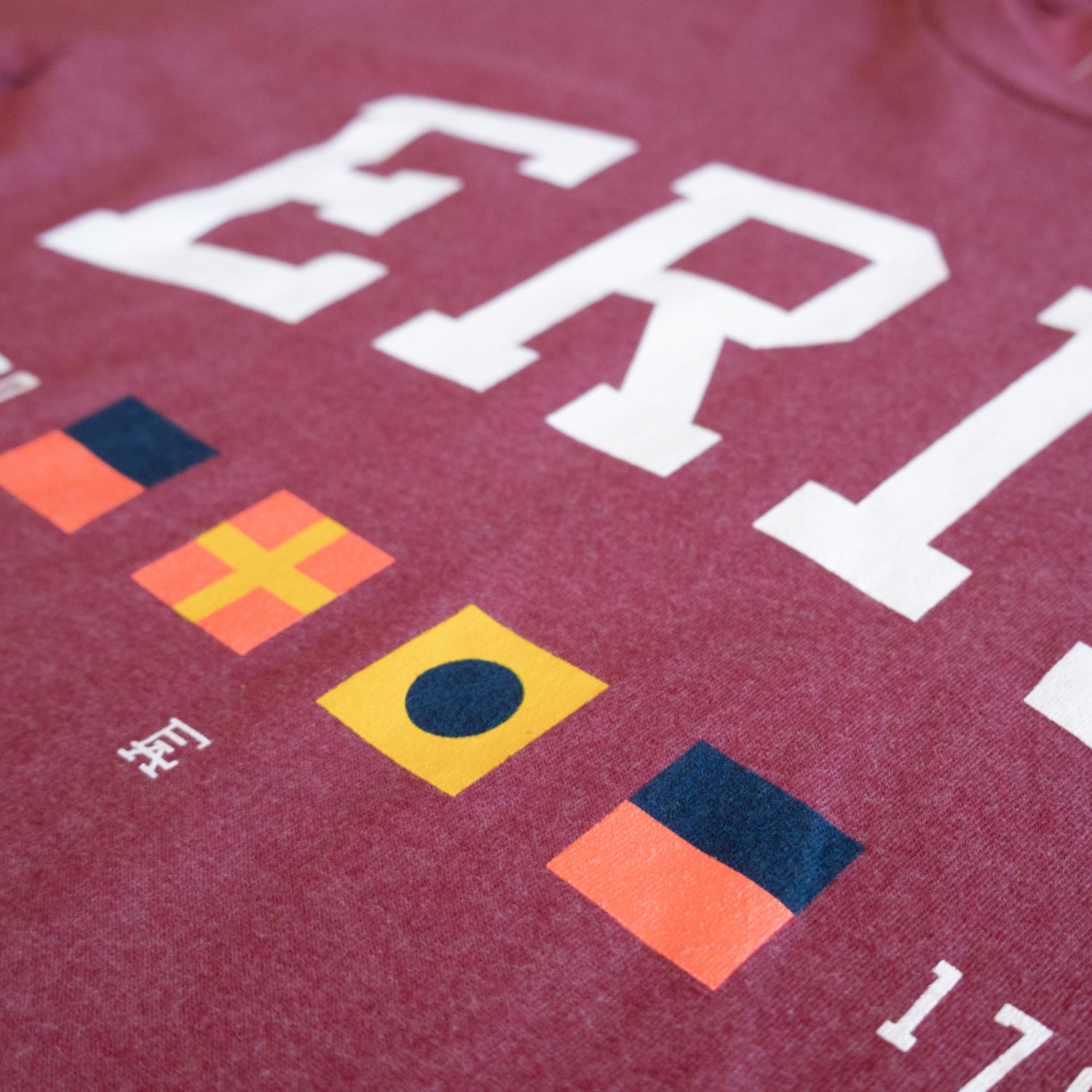 Erie Flags Tee
