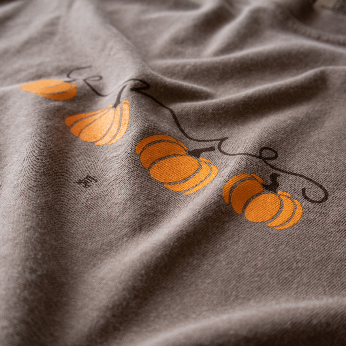 Erie Pumpkin Patch Long Sleeve Tee