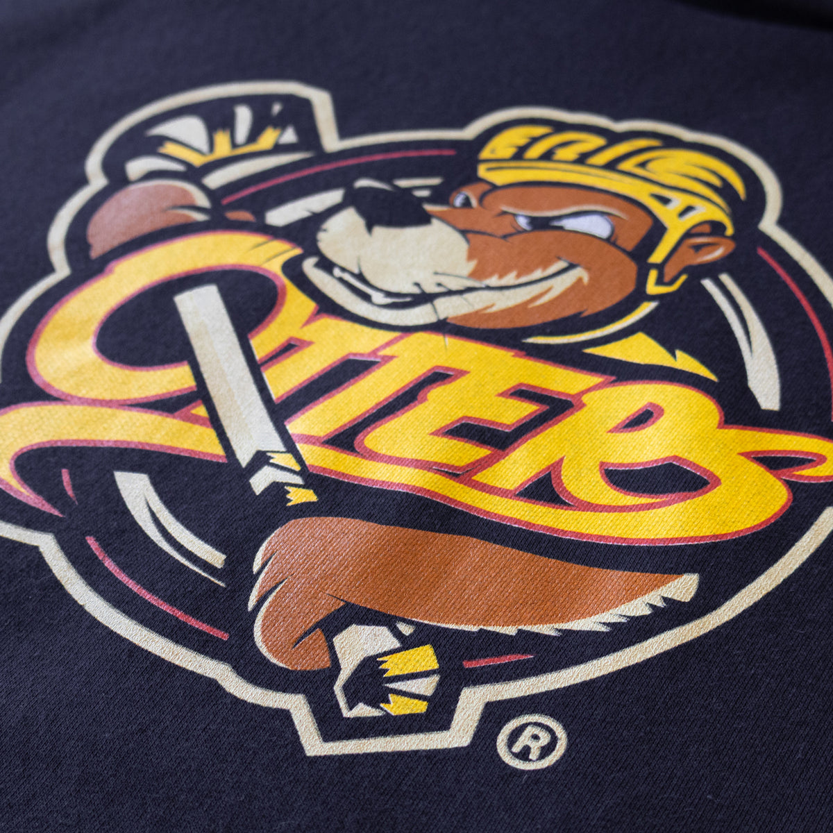 Erie Otters Primary Logo Hoodie