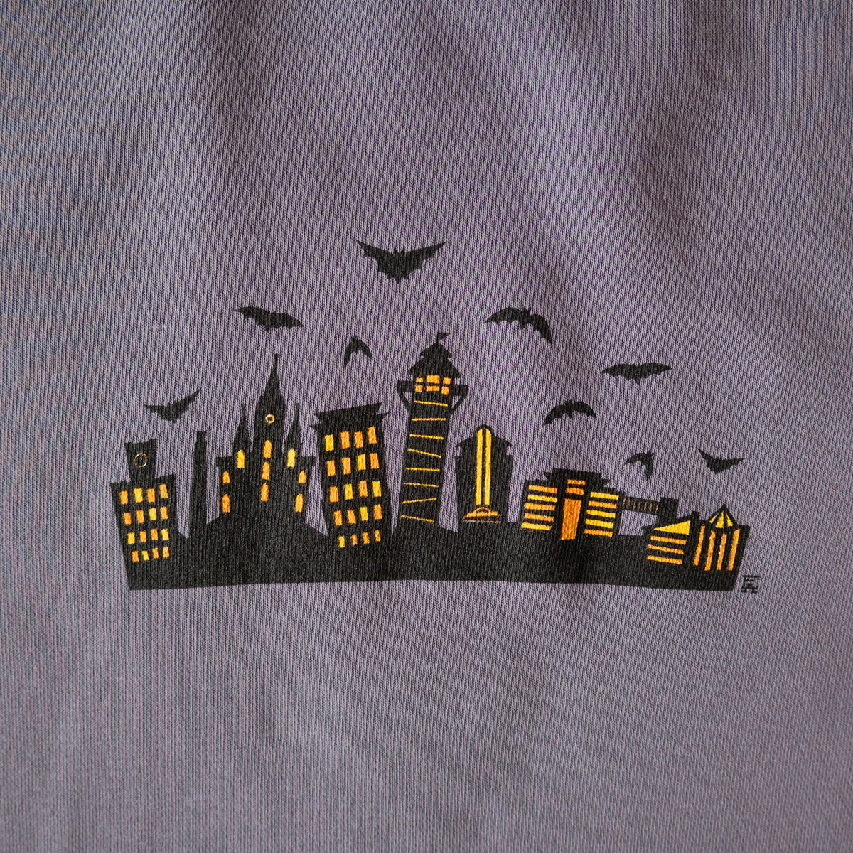 Erie Spooky Skyline Crewneck