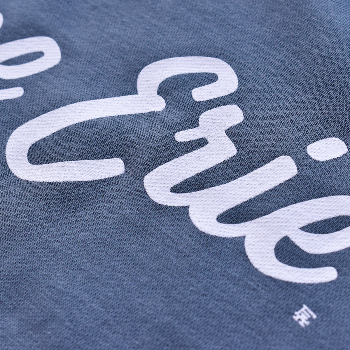 Lake Erie Script Crewneck