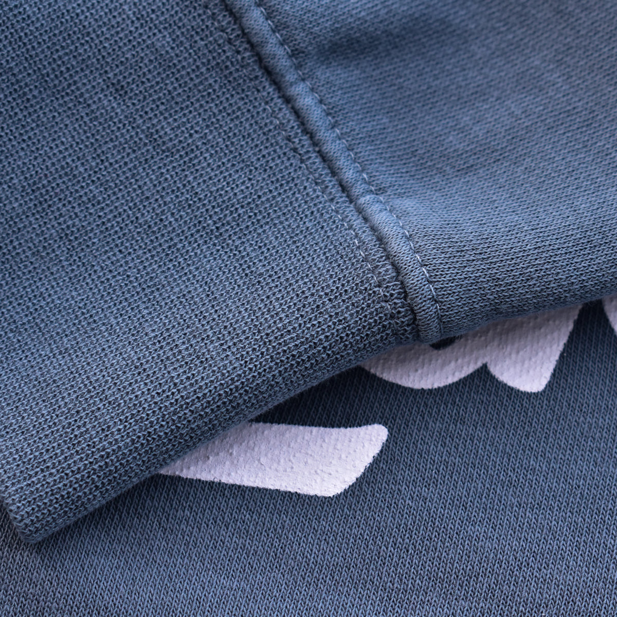 Lake Erie Script Crewneck